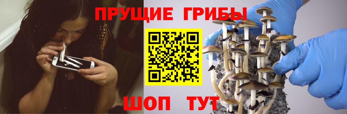 Бирск  Галлюциногенные грибы Cubensis  цены   Вход с VPN  Галлюциногенные грибы ЛСД 
